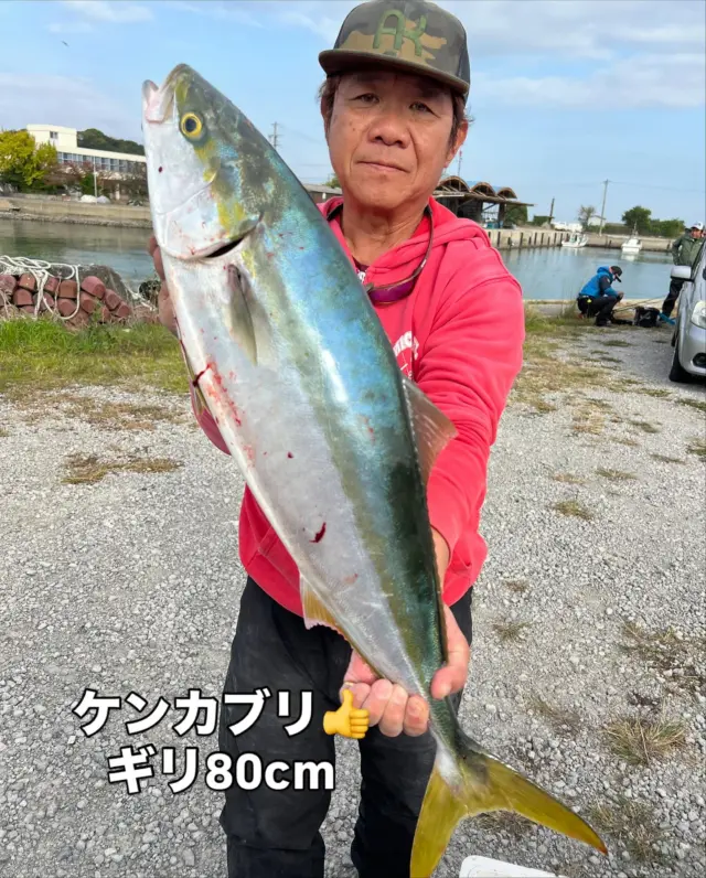 ジギングタイラバ便
朝から良いポイント見つけてブリ〜ハマチが入れ食い⤴️
ナント船中23本です🤪
全員安打とはなりませんでしたが多い方は5〜6本です⤴️
忙し過ぎてお客様にタモ入れも手伝って頂きバラシは少なくすみました‼️ありがとうございました🙇‍♀️
僚船や他船も集まりスレてきたのでタイラバへGOしましたがこちらは渋かったですね😭お持ち帰り真鯛は2匹のみで後はチャリコ鯛にガンゾウやサバフグばかりでした⤵️そうそう上手く行きませんね😭僚船に太刀魚は好調と聞き最後は太刀魚で癒されて帰港です⤴️
本日はお疲れ様でした🙇‍♀️
またよろしくお願いします🙇

#タイラバ  #タイラバ船  #タイラバ釣り  #タイラバ遊漁船 
#ジギング　#ジギング船  #ジギング遊漁船 
#伊勢湾ジギング  #伊勢湾タイラバ  #伊勢湾キャスティング