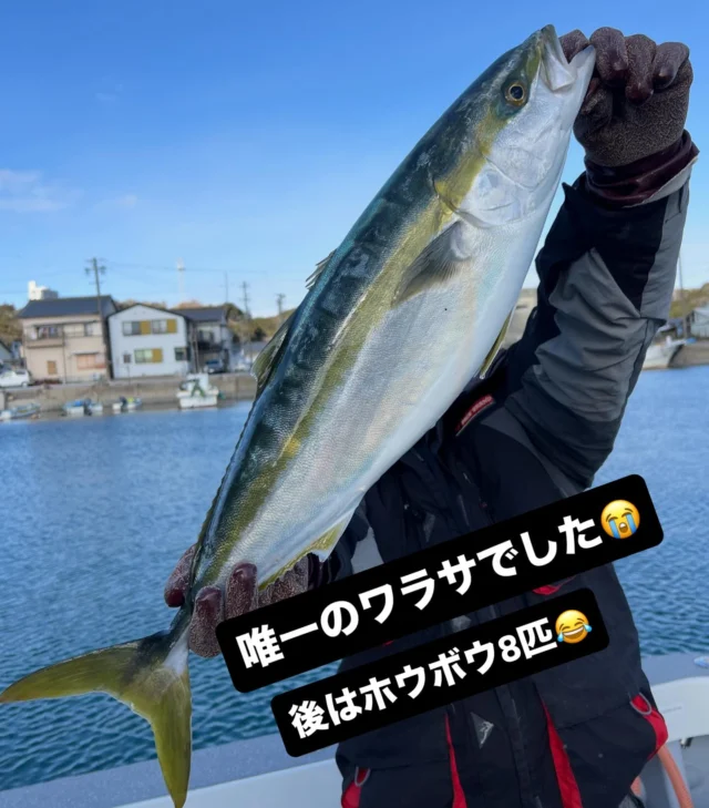 ジギング便
今日はダメでしたね👎
ベイトはもりもりですが食いません😭
僚船はシーバスの時合あり隣で流してましたが当船には配当なしでした😭波風もまあまあ有り厳しい1日でした😭
本日は急な募集でも7名様に乗船いただき感謝です🙏
ありがとうございました🙇‍♀️
またよろしくお願いします🙇
#ジギング
#タイラバ
#伊勢湾ジギング
#伊勢湾タイラバ