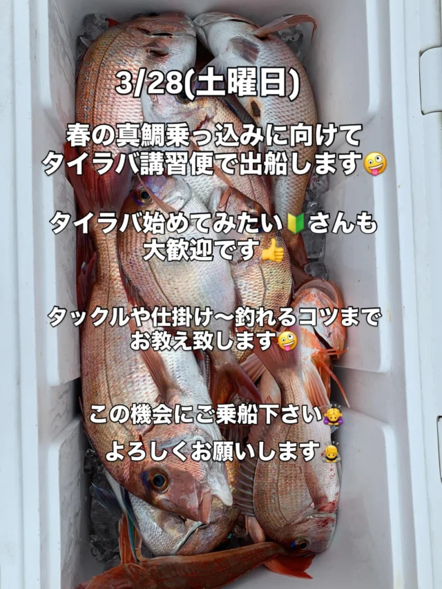 タイラバ講習便　

☆満船になりました🙇‍♀️
☆ありがとうございます🙇‍♀️

3/28(土曜日)
春の真鯛乗っ込みシーズンに向けてタイラバの講習便で出船します。
波風と潮の関係でタイラバが難しい時はジギングもやりますのでジギングのご用意もお願いします。
タイラバはジギングと比べて簡単で女性やお子様でもできる釣りですが釣果は凄く差がでる釣りです😂
簡単ですのでタダ巻きすれば釣れると思ってる方が大勢いらっしゃいますがホント奥が深い釣りなんです😂
そんなタイラバのお勧めのタックルや仕掛けから釣り方のコツまでを丁寧にお教え致します🤪
☆これからタイラバ始めようかな🔰という方‼️
☆いつもタイラバは釣果が出ない方‼️
こんな方は是非ご参加下さい。
乗船料も通常の10,000円です‼️
レンタルタックルも1セット2,000円にてご用意できます。
当日は全員が片舷ドテラ流しでやれるように少人数限定て出船いたします。
この機会に是非ご乗船下さい🙇‍♀️
よろしくお願いします🙇　

ホームページ
https://bubbles-fish.com/

#タイラバ
#伊勢湾タイラバ
#タイラバ初心者大歓迎 
#タイラバ便募集中