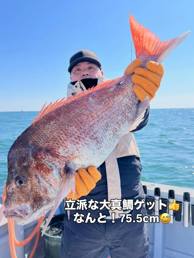 ほぼタイラバ便
ご立派な75.5cmの大真鯛ゲットできました🤪
しかし水温低下のせいか？ぶっ飛び潮のせいか？
反応はバンバンあるのに食いが悪かったですね😭
しかし今日も釣れれば型が良いサイズが多く美味しそうな真鯛ばかりでしたよ‼️いつものホウボウも釣れてますが数は減ってきてますね🤪明日も出船ですので大真鯛を狙って行きます🤪
本日はお疲れ様でした🙇‍♀️
またの乗船お待ちしております🙇‍♀️
ホームページ
https://bubbles-fish.com/
#タイラバ
#伊勢湾タイラバ
#ジギング
#伊勢湾ジギング 
#大井漁港