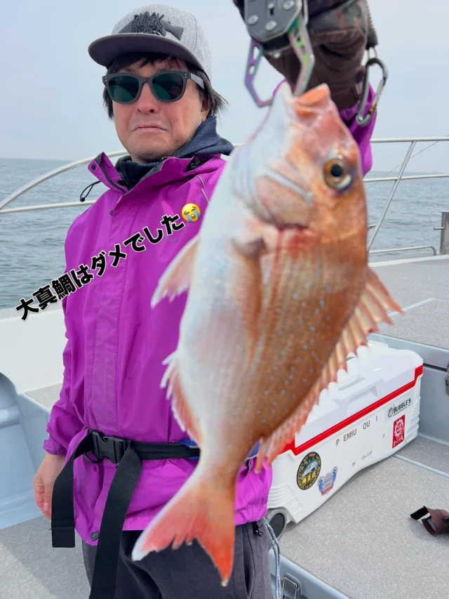 タイラバ便
今日は半数がタイラバ初めての🔰様です。
昨日いまから、かめや釣具美和店にヘッドやスカートを買いに行くと聞いたのでスタッフの増田くんにチョイスしてもらえば釣れるよ‼️笑笑
と言う事でチョイスしてもらった仕掛けでもちろん全員安打です🤪真鯛を狙ったのですが残念ながら真鯛は次回に持ち越し😂
しかしトラフグ5匹にヒラメ、ホウボウ多数と皆さん飲み込み早く20〜30匹のお持ち帰りできました🤪
真鯛は2匹のみで大真鯛は釣れませんでした😭
その代わり高級魚トラフグが9匹も連れてトラDAYでしたね🤪
トラフグは皆さん持って帰れるのか⁉️
と心配されますが近くの捌き屋さんで捌いてもらえますので美味しく頂けますよ🤪
本日はありがとうございました🙇‍♀️
またよろしくお願いします🙇