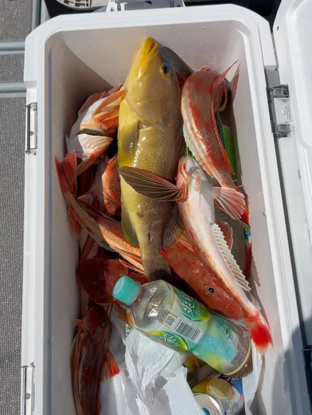 タイラバ便
byピクニックチーム
今日はX DAY⁉️大爆釣しましたよ🤪
それもピクニックチームで‼️笑笑
案の定に呑んで食って寝るでしたわ💤笑
朝からタックルと携帯を海に落としてしまい今日もピクニックチームではダメか👎と諦めてましたが今日は違いましたね⤴️
真鯛を筆頭にワラサ、ハマチ、青ハタ、ヒラメ、サゴシ、ホウボウ多数と90匹ほどお持ち帰りゲットです⤴️
60匹ほど釣って満足で帰ろうと思ってから青物の時合が勃発‼️しかしピクニックチームはジギングタックル4本しかない😂皆んな交代しながらも30匹ほどゲットし、まだまだ釣れましたがピクニックチームの1年分の釣果は上げたので強制終了‼️笑
今日は先輩たち楽しかったですよね⁉️
またよろしくお願いします🙇
ホームページ
https://bubbles-fish.com/
#ジギング
#タイラバ
#伊勢湾ジギング 
#伊勢湾タイラバ