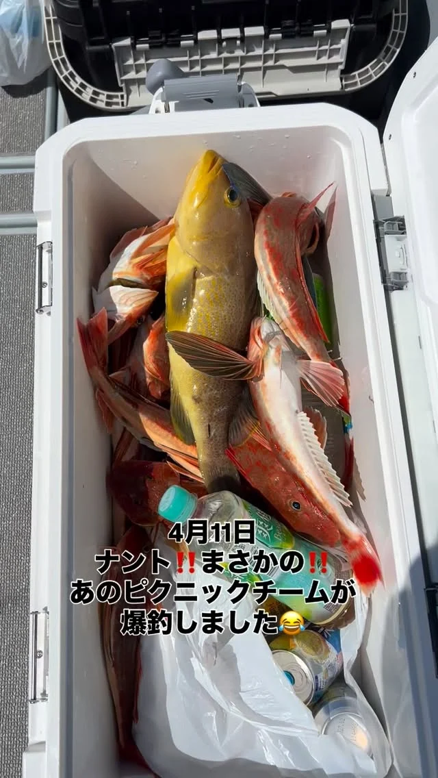 タイラバ便
byピクニックチーム
今日はX DAY⁉️大爆釣しましたよ🤪
それもピクニックチームで‼️笑笑
案の定に呑んで食って寝るでしたわ💤笑
朝からタックルと携帯を海に落としてしまい今日もピクニックチームではダメか👎と諦めてましたが今日は違いましたね⤴️
真鯛を筆頭にワラサ、ハマチ、青ハタ、ヒラメ、サゴシ、ホウボウ多数と90匹ほどお持ち帰りゲットです⤴️
60匹ほど釣って満足で帰ろうと思ってから青物の時合が勃発‼️しかしピクニックチームはジギングタックル4本しかない😂皆んな交代しながらも30匹ほどゲットし、まだまだ釣れましたがピクニックチームの1年分の釣果は上げたので強制終了‼️笑
今日は先輩たち楽しかったですよね⁉️
またよろしくお願いします🙇
ホームページ
https://bubbles-fish.com/
#ジギング
#タイラバ
#伊勢湾ジギング 
#伊勢湾タイラバ