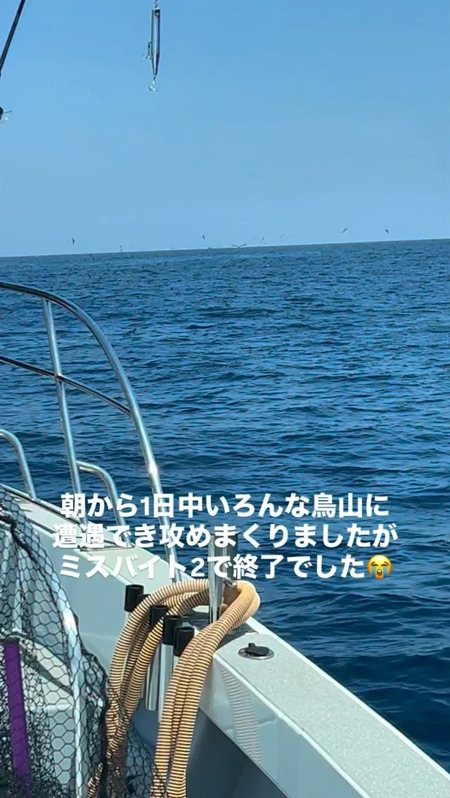 キハダキャスティング便
今日は4名様でキハダキャスティング🤪
朝一から1日ずっと鳥山撃ちできましたがミスバイト2で終了でした😭お客様からですが最初のミスバイトはすぐ近くでキハダだったようですがもう１回はやはりクロっぽかったようです😂
しかしナブラもすぐに沈んでしまうので難かったですね😂　
最後はロングナブラに遭遇できましたがノーバイトでした😭
本日はお疲れ様でした🙇‍♀️
またよろしくお願いします🙇
ホームページ
https://bubbles-fish.com/
#キャスティング
#キハダキャスティング
#ジギング
#タイラバ
#遊漁船