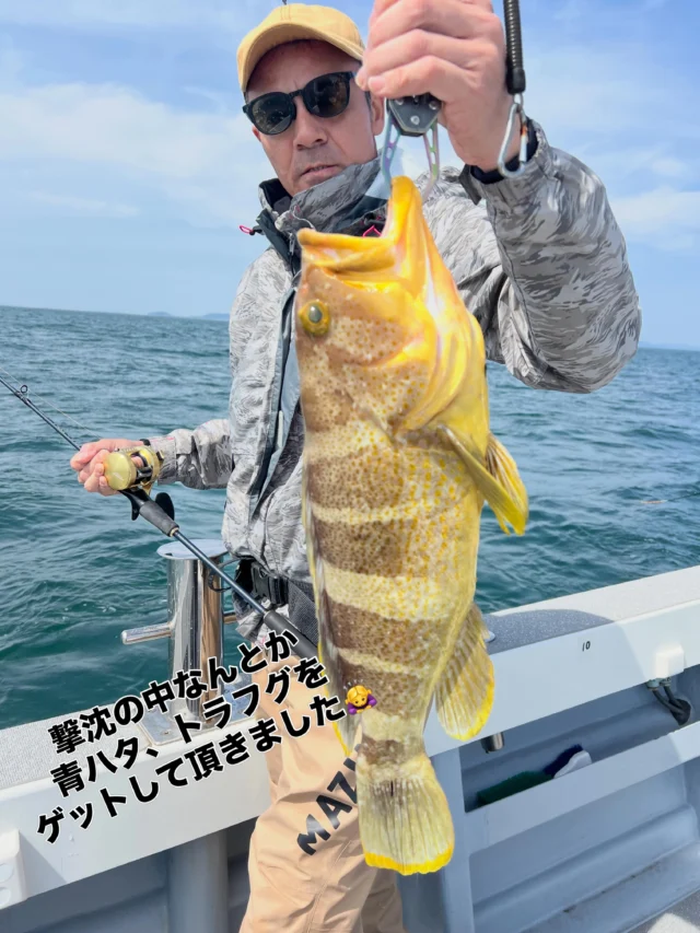 ジギングタイラバ
撃沈くらいました😭
申し訳ございませんでした🙇‍♀️
今日の朝は波風残る予報で時間を遅らせ出船⤴️
それでもまだ波風残っておりお子様と女性も見えたので風裏からスタート‼️
朝一にまあまあのサイズのサワラがヒットしましたがまさかの水面ポロリ😭ここから流れ悪く僚船に呼んでもらい真鯛に行くも回りは皆んなタモ入れしてる中お祭りに根掛かり続出で釣りにならず真鯛は1枚顔が見れただけ😭真鯛の写真撮るの忘れてしました🙇‍♀️
沖出ししてやっとハマチ、青ハタ、トラフグ、ホウボウと釣れて終了でした😭最後もビッグヒットしましたが残り15mでフックオフ😭
今日はこんな1日でした😭
本日は波風ある中お疲れ様でした🙇‍♀️
またよろしくお願いします🙇
ホームページ
https://bubbles-fish.com/
#ジギング
#タイラバ
#伊勢湾ジギング
#伊勢湾タイラバ
#大井漁港出船