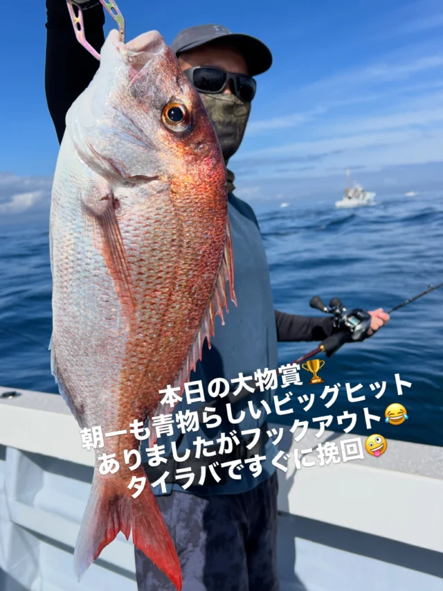 ジギングタイラバ
今日は朝からアジ食ってくれました🤪
しかしちょっとムズかったかな⁉️
多い人で10匹ぐらい少ない人は2〜3匹と差が出てしまいましたね😂ビッグヒットも1回ありましたが痛恨のフックアウトでした😭タイラバはすぐに48cm真鯛あがったのになんせ潮が動かず苦戦😭途中の鳥山でツバスをゲットし最後は青物を狙いましたが配当無しでした😭太刀魚はめちゃくちゃ渋いとの情報で今日はやらずあとはホウボウにカサゴで終了です🤪
本日はお疲れ様でした🙇‍♀️
またよろしくお願いします🙇
ホームページ
https://bubbles-fish.com/
#ジギング
#タイラバ
#伊勢湾
#遊漁船
#大井漁港出船
