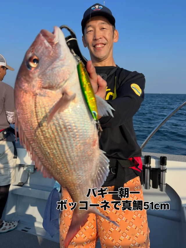 ジギングタイラバ便
今日はバギー軍団３名様だけの少人数でした🤪
しかし３名様でも朝一から真鯛51cmを筆頭にチダイ、でかトラ、マゴチ、ホウボウ、ガンゾウ、太刀魚、サバフグと頑張ってきましたよ🤪太刀魚は最後にやりましたがやはりバギーは得意なだけあって釣りますね‼️笑
本日は暑い中ありがとうございました🙇‍♀️
またよろしくお願いします🙇
ホームページ
https://bubbles-fish.com/　
#ジギング
#タイラバ
#遊漁船
#伊勢湾
#大井漁港