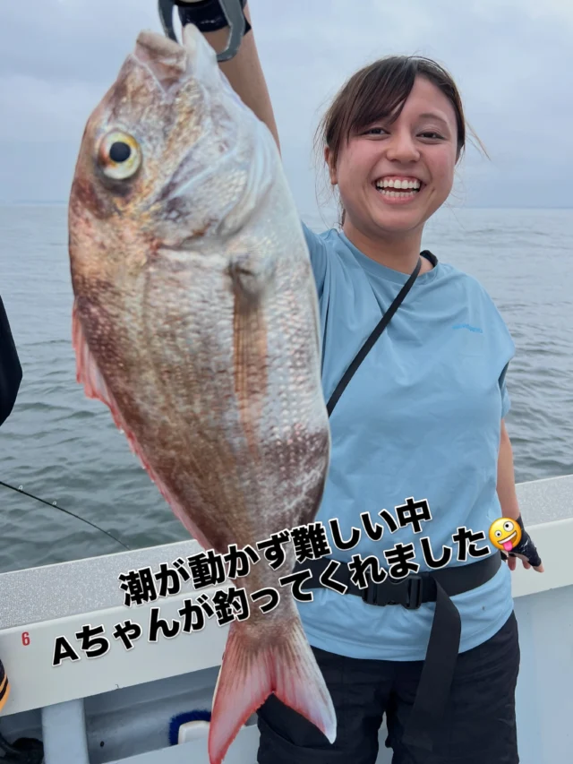 ジギングタイラバ便
朝は太刀魚からスタートしましたがポツポツでしたね😂
F5クラスは3本のみでした😂
潮が動き始めたかな⁉️と思いタイラバへ行きましたが大潮なのに全く動きません😭深場へ探しに行くとアジの反応がありサビキを付けてもらい落とすとカマスとアジがホイホイと釣れMっチェは入れ食い状態🤪船中も40〜50匹ほど釣れましたので最後は再度タイラバへ‼️ここでも全く潮が動きませんでしたがAちゃんが48cm真鯛をゲットしてくれ終了でした🤪
真鯛はあんまりでしたがアジ、カマスが釣れギガアジも混じりましたので美味しいおかずはたくさんお持ち帰りできましたよ🤪
本日はありがとうございました🙇‍♀️
またよろしくお願いします🙇
ホームページ
https://bubbles-fish.com/
#ジギング
#タイラバ
#キャスティング
#伊勢湾遊漁船
#大井漁港出船