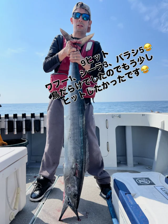沖サワラ便
今年初の沖サワラ便でした🤪
朝から鳥だらけで行けるかな⁉️
と思いましたがなかなか食いません😂
結果9ヒットしかせず沖サワラは1本で終了😂
もう少しヒット数を増やしたかったです🙇‍♀️
しかし水温下がり心配してましたがまだ居るのは判明‼️
かなりデカくなってますわ🤪
来週もう一度ありますので頑張ります🤪
ホームページ
https://bubbles-fish.com/
#ジギング
#タイラバ
#キャスティング
#トローリング
#伊勢湾遊漁船